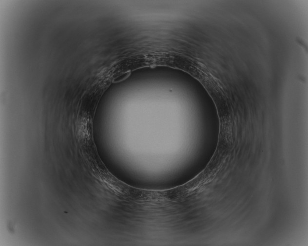 X0000093110770200709261250