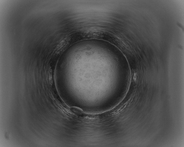 X0000093110771200709261250