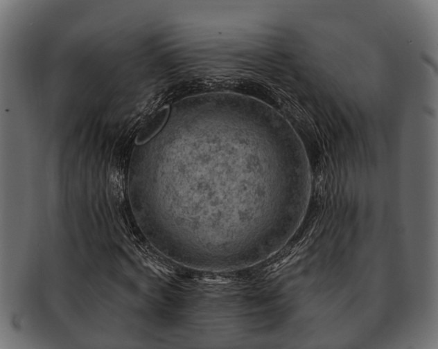 X0000093110772200709261250