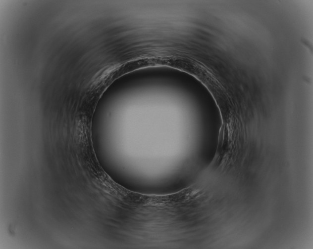 X0000093110773200709261250