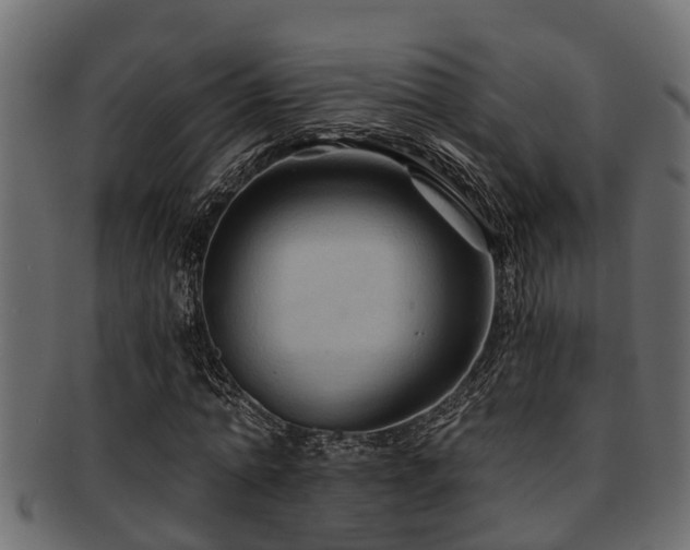 X0000093110774200709261250