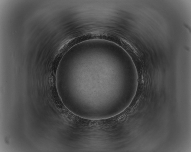 X0000093110776200709261250