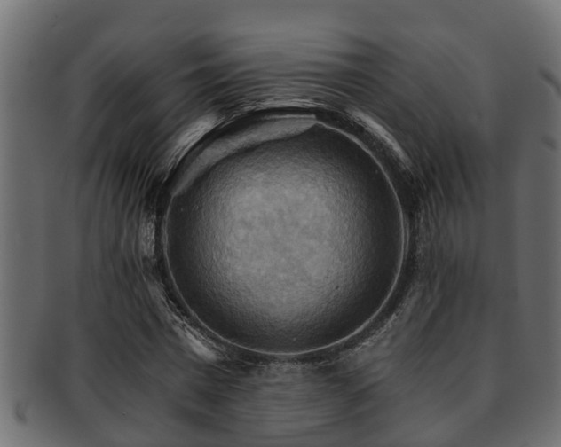 X0000093110777200709261250
