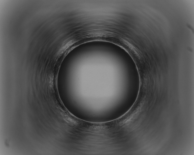 X0000093110778200709261250
