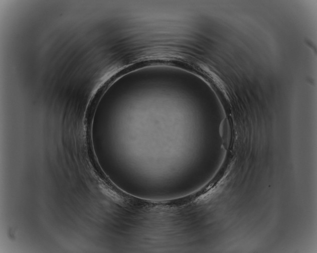 X0000093110779200709261250