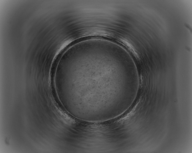 X0000093110780200709261250