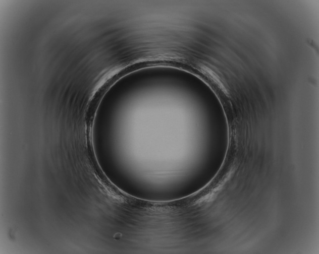 X0000093110781200709261250