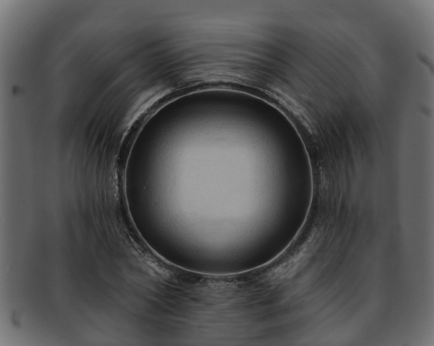 X0000093110782200709261250