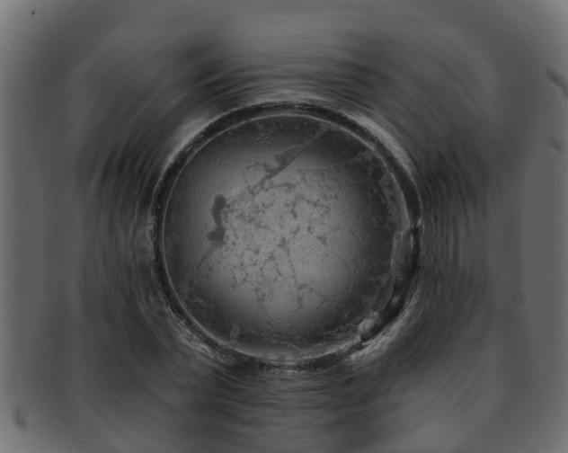 X0000093110783200709261250
