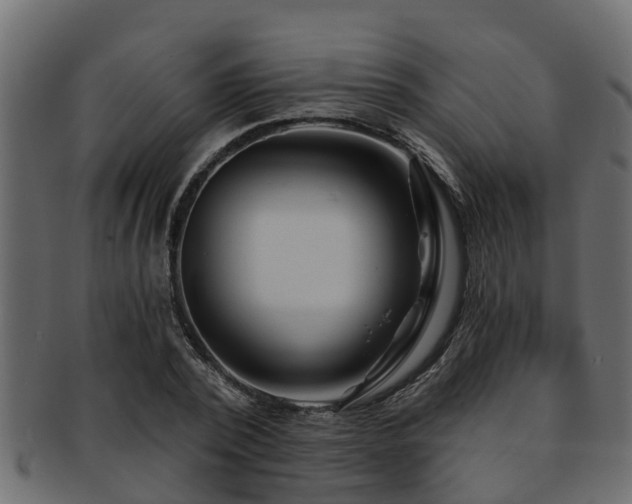 X0000093110784200709261250