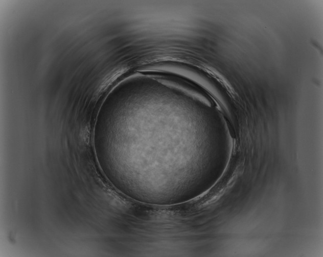X0000093110785200709261250