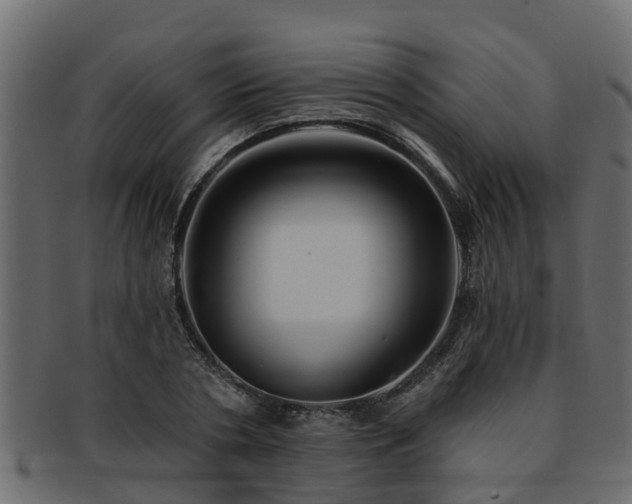 X0000093110786200709261250