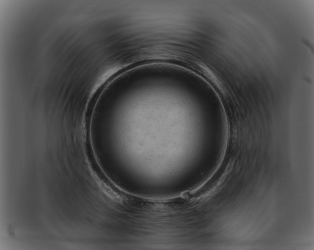 X0000093110787200709261250