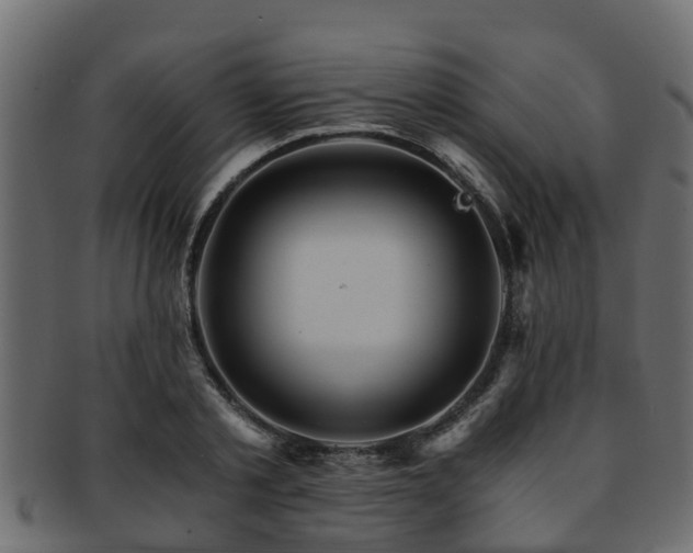 X0000093110789200709261250