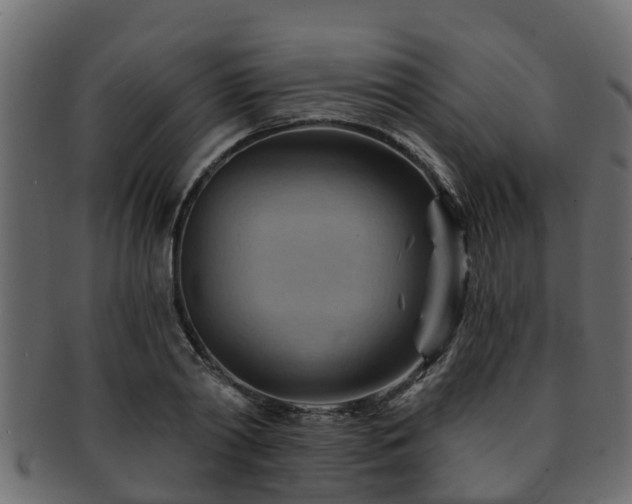 X0000093110790200709261250