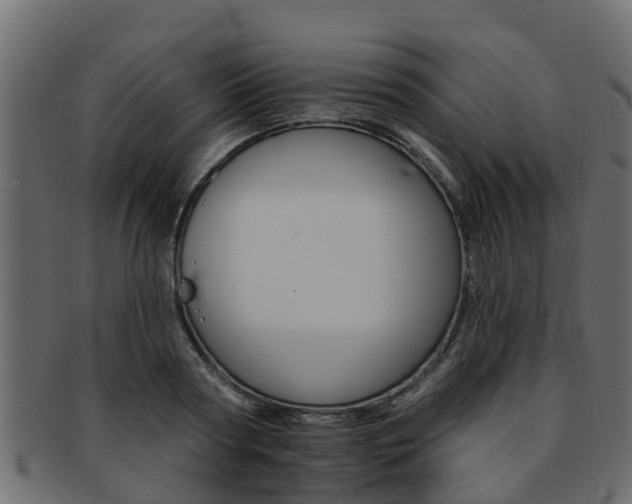 X0000093110794200709261249