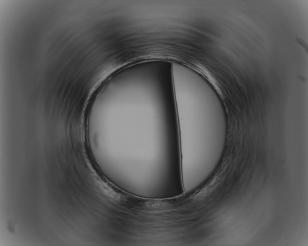 X0000093110795200709261249