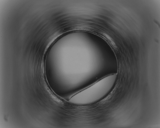 X0000093110796200709261249