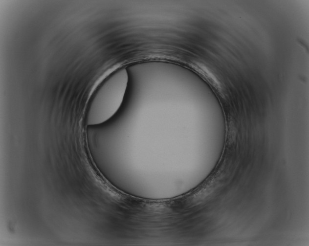X0000093110798200709261249