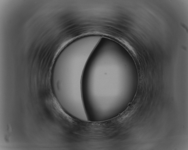 X0000093110799200709261249