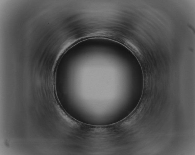 X0000093110800200709261249