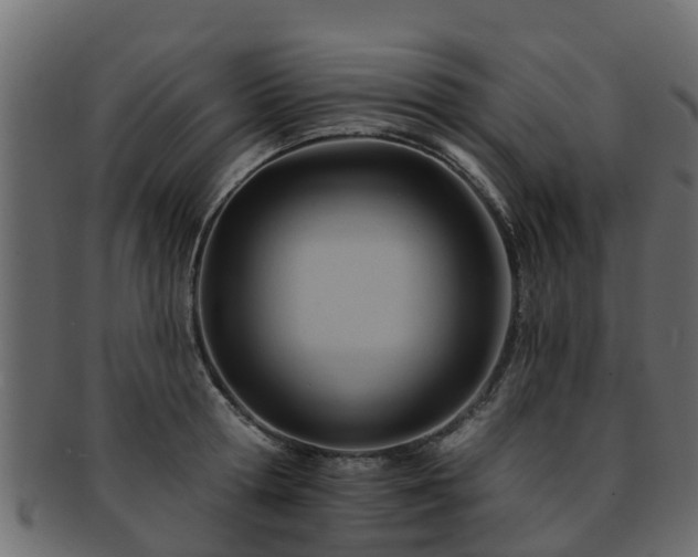 X0000093110802200709261249