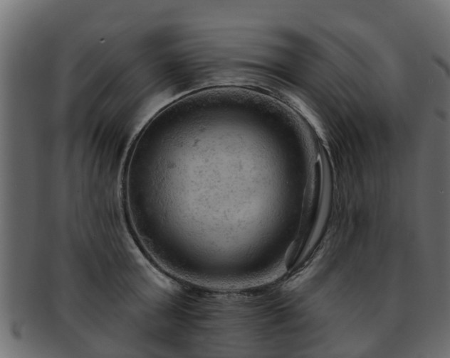 X0000093110803200709261249