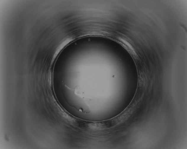 X0000093110804200709261249