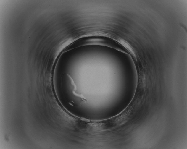 X0000093110805200709261249