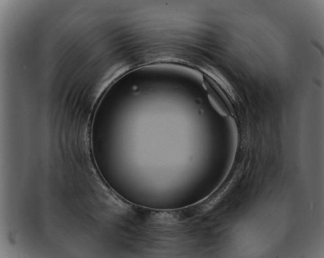 X0000093110806200709261249