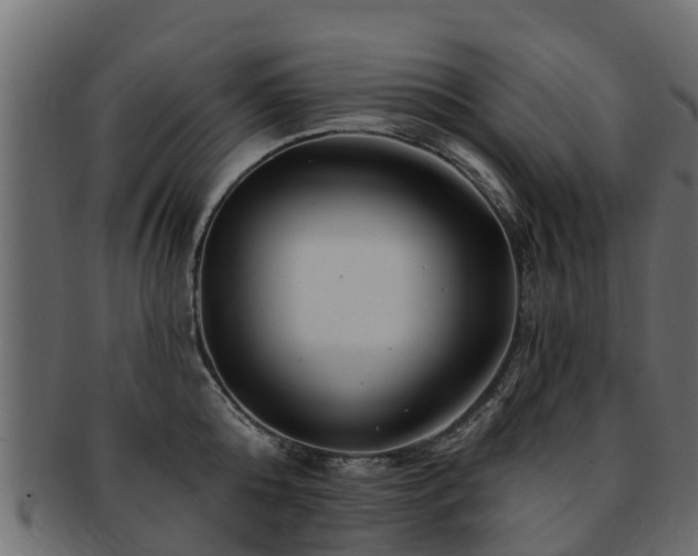 X0000093110808200709261249