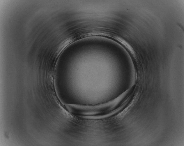 X0000093110809200709261249