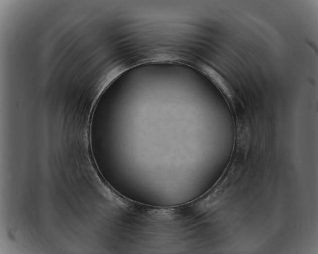 X0000093110810200709261249