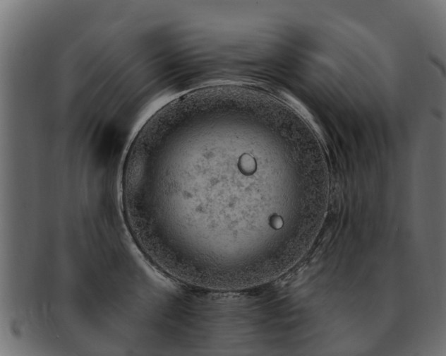 X0000093110811200709261249