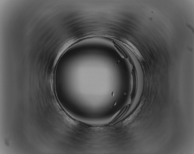 X0000093110812200709261249