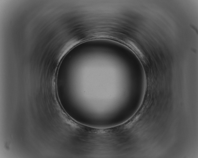 X0000093110814200709261249
