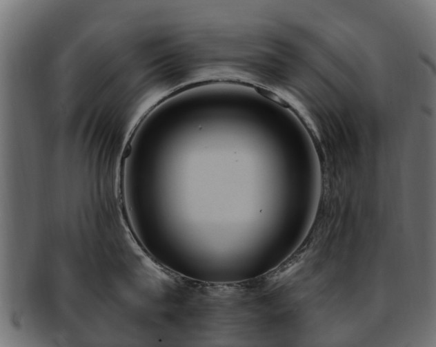 X0000093110815200709261249
