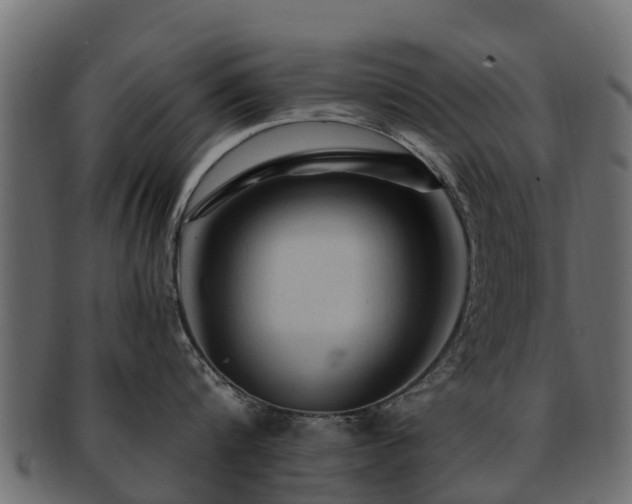 X0000093110816200709261249