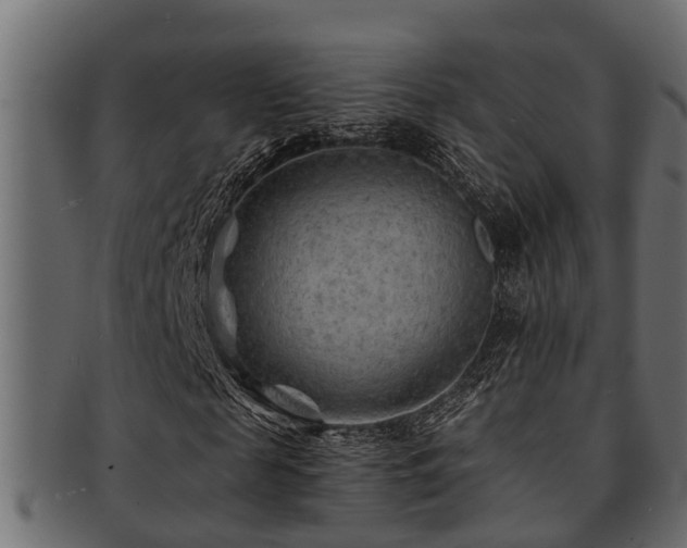 X0000093110817200709261248