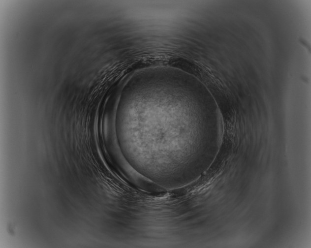 X0000093110818200709261248