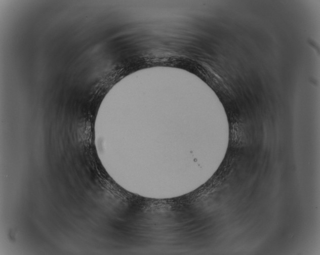 X0000093110820200709261248