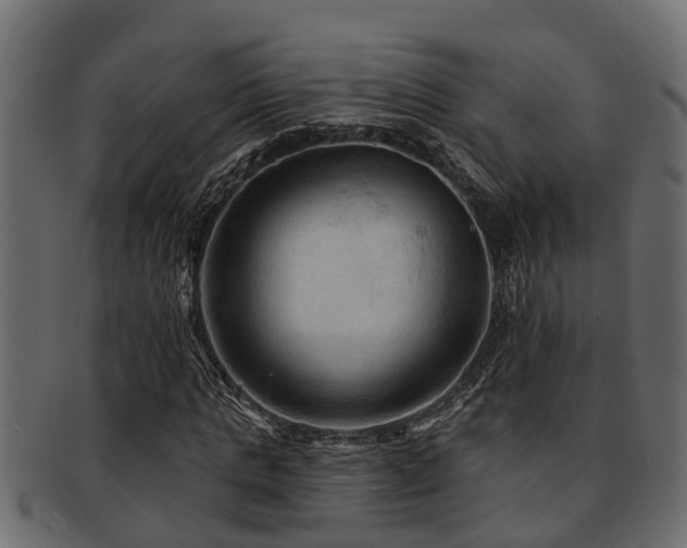 X0000093110821200709261248