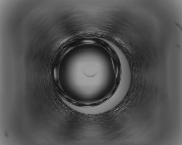 X0000093110822200709261249