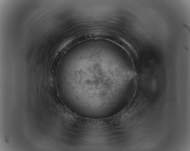 X0000093110823200709261249