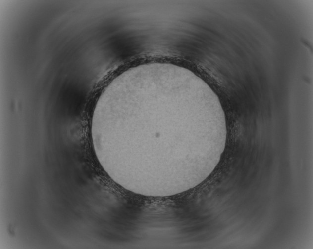 X0000093110824200709261249
