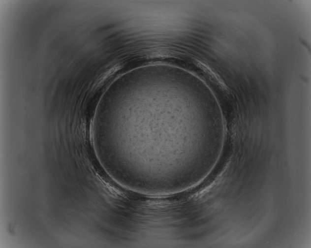X0000093110825200709261249