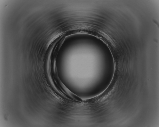 X0000093110826200709261249