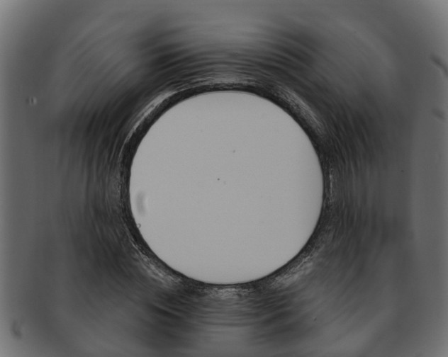 X0000093110828200709261249