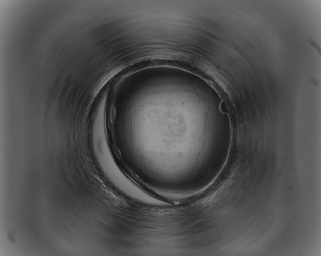 X0000093110829200709261249