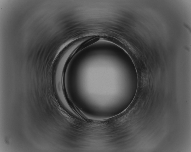 X0000093110830200709261249